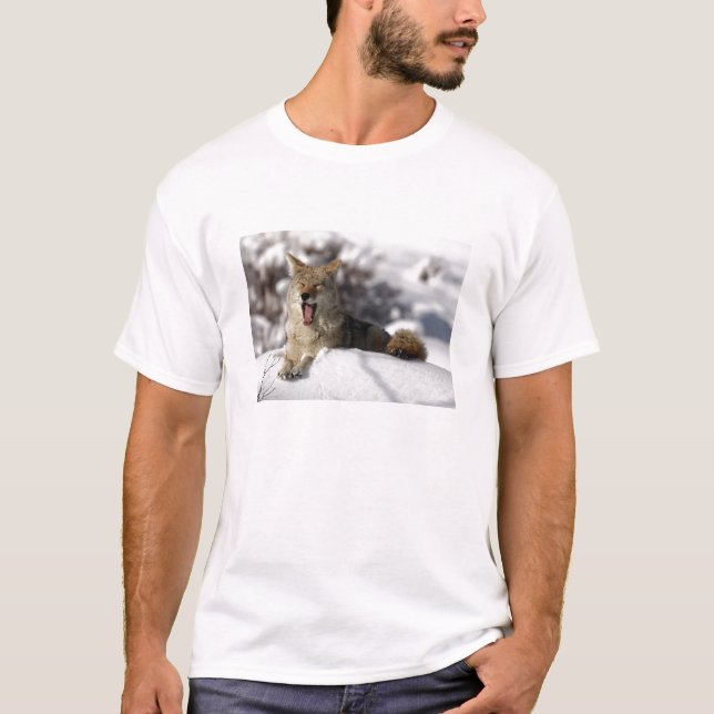 Camiseta Coyote Snow Yawn (Frente)