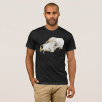 Crânio animal