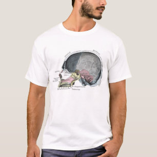 Camiseta Crânio da criança com cor