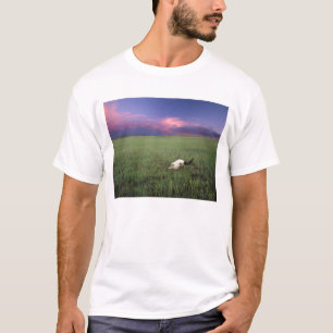Camiseta Crânio de Búfalo em Grama de Pradaria perto de Med