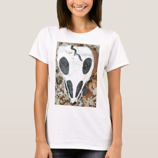 Camiseta crânio pintado (Frente)