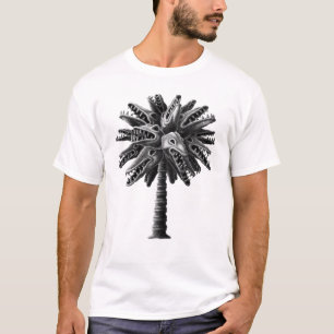 Camiseta Crânios do monstro branco preto salga palmeira ho