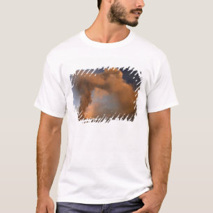 Camiseta cratera do cume do Mt. Etna, Sicília, Itália