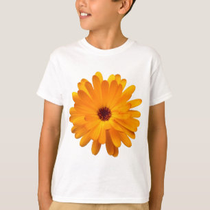 Camiseta Cravo-de-defunto alaranjado