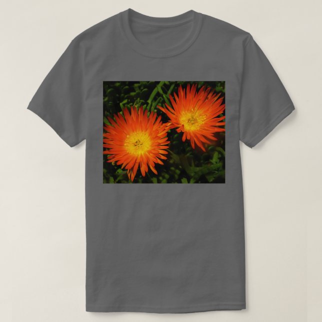 Camiseta Crescendo lado a lado (Frente do Design)