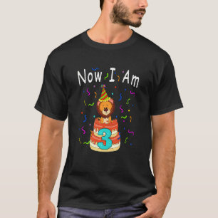 Camiseta Crianças Agora Eu Sou 3 Bebê-Leão-aniversário de 3