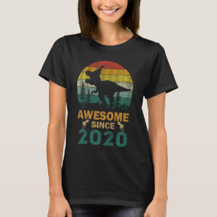 Camiseta Crianças De 3 Anos Dinossauro Incrível Desde 2020 