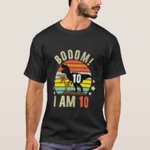 Camiseta Crianças Décima Dinossauro 10 Anos 2012 Eu tenho