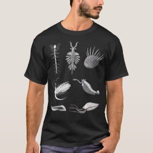 Camiseta Criaturas Cambrianas Fóssil Paleoarte Evolução Ciê