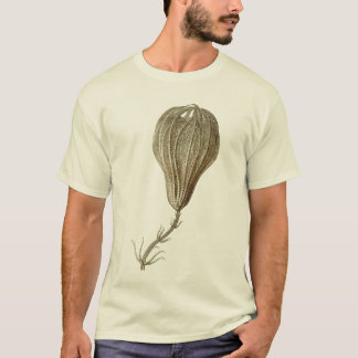 Camiseta Crinoids