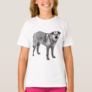 Camiseta crista em meio-tom calma, mix tibetano