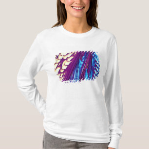 Camiseta Cristais do ácido Tartaric