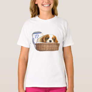 Camiseta cristão