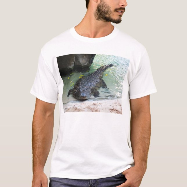 Camiseta Crocodilo (Frente)