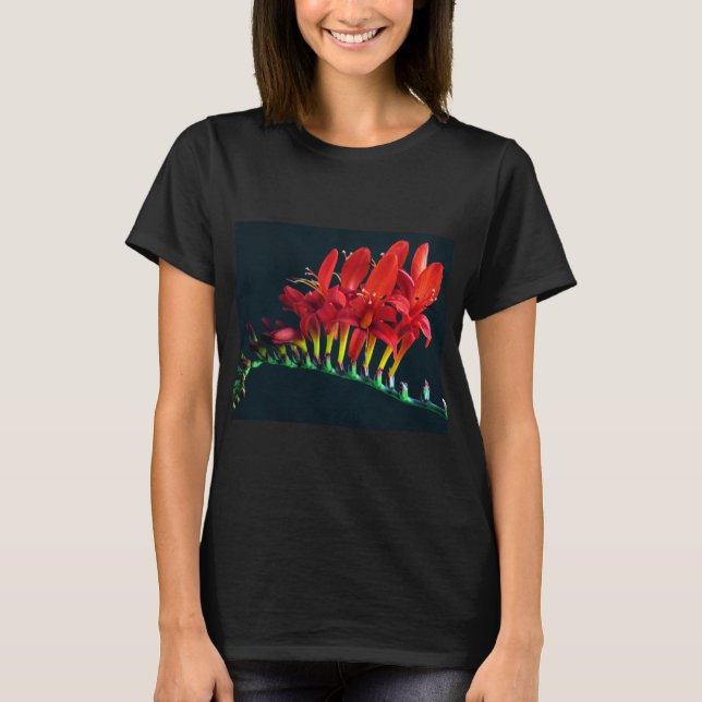 Camiseta Crocosomia Lucifer Montbretia Floral (Frente)