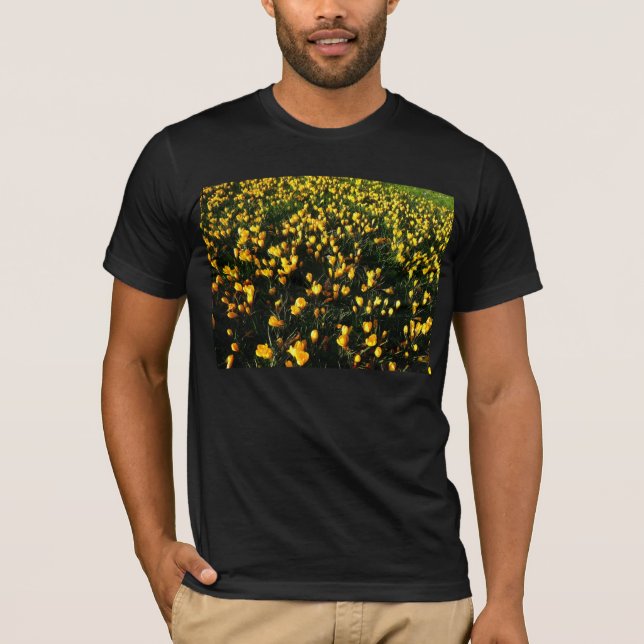 Camiseta Crocuses (Frente)