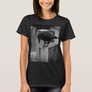 Camiseta Crow do Cemitério de Queda