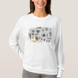 Camiseta Crustáceos e aracnídeos