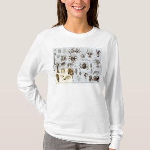 Camiseta Crustáceos e aracnídeos