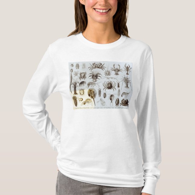 Camiseta Crustáceos e aracnídeos (Frente)