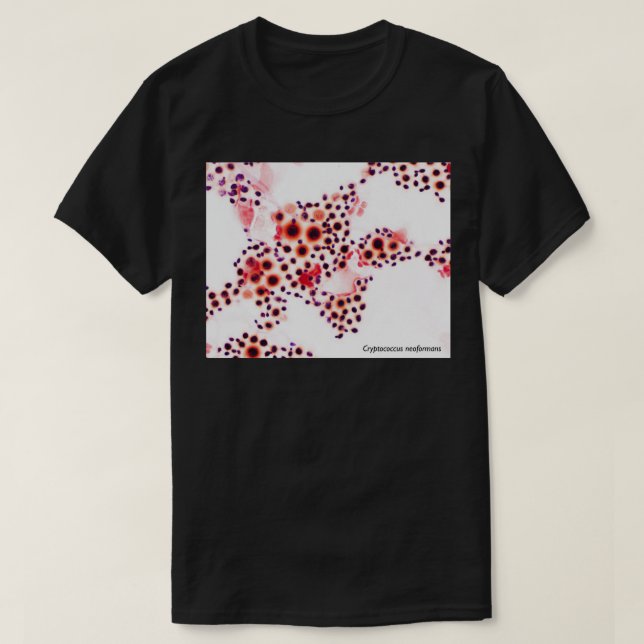 Camiseta Cryptococcus neoformans (Frente do Design)