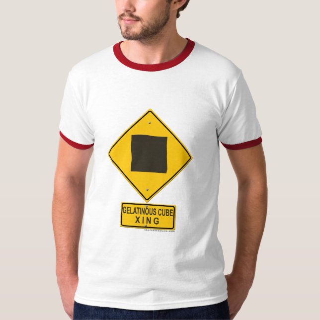Camiseta Cubo gelatinoso XING (Frente)