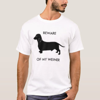 CAMISETA CUIDADO COM O MEU INVERNO