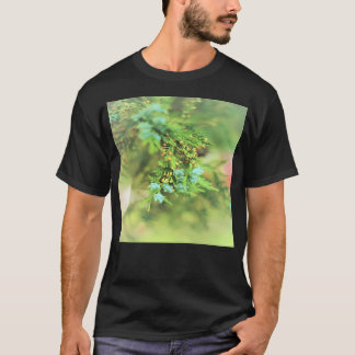 Camiseta Culturas Renais Frescas E Fitossanidade- Plantas D
