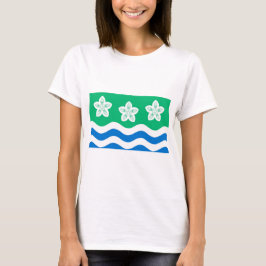 Camiseta Cumberland (distrito do Reino Unido)