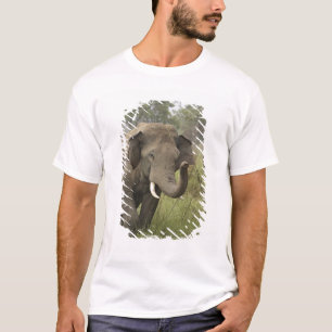 Camiseta Cumprimento de Elefante Asiático Indiano