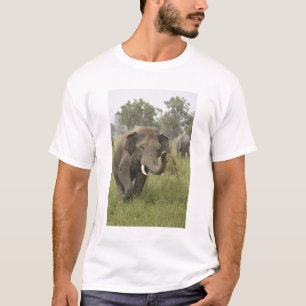 Camiseta Cumprimento de Elefante Asiático Indiano