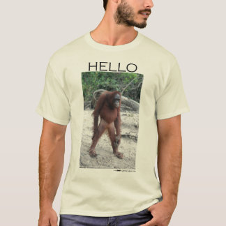Camiseta Cumprimentos de um orangotango