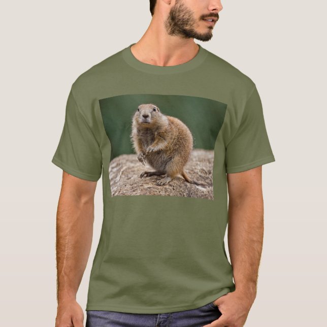 Camiseta Curiosa Prairie Dog Tee (Frente)