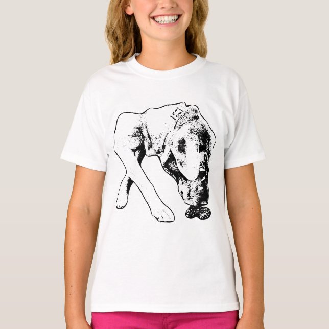 Camiseta Curiosidade em Linhas Monocromáticas (Frente)