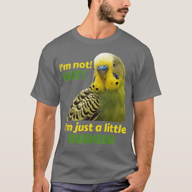 Camiseta Curioso Gordo Orçamentado Amarelo Verde (Frente)