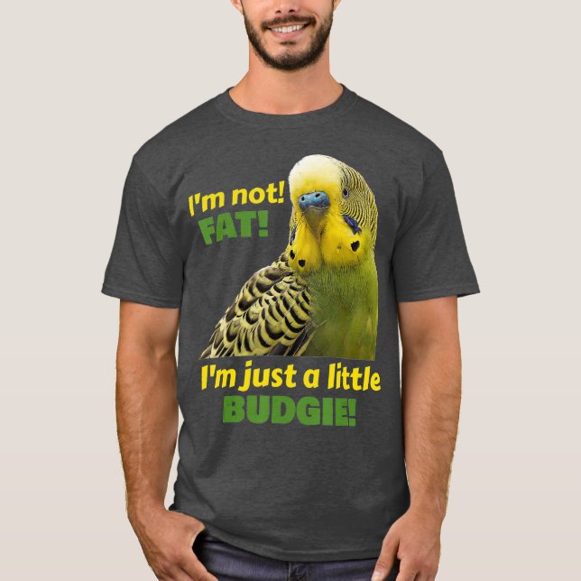 Camiseta Curioso Gordo Orçamentado Amarelo Verde (Frente)