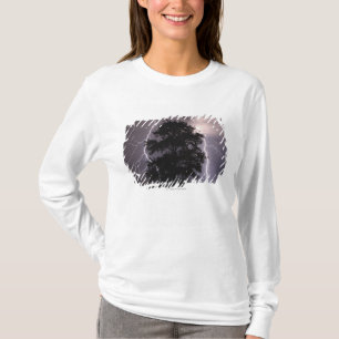 Camiseta Curto circuitos no céu atrás de uma árvore