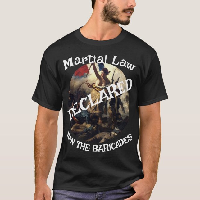 CAMISETA CUSTO DO EMPRÉSTIMO FAMILIAR FEMA TSA FW CASA AUME (Frente)