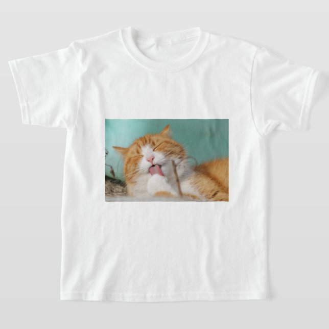 Camiseta Cute Orange Cat Grooming (Postura )
