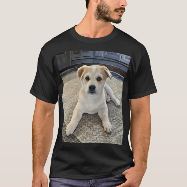 Camiseta Cuteness Puppy Overload T Shirt (Frente)