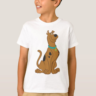 Camiseta Cutro De Scooby-Doo Que Bonito