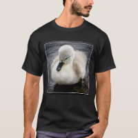 Cygnet da cisne | do bebê
