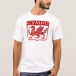 Camiseta Cymru - Wales