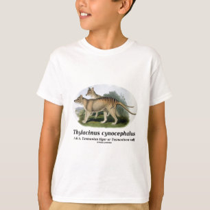 Camiseta Cynocephalus do Thylacinus (tigre ou lobo
