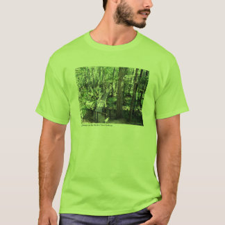 Camiseta Cypress Swamp no Parque de Rastreio de Natchez