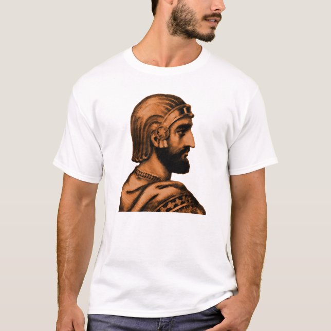 Camiseta Cyrus o excelente 2 (Frente)