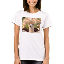 Camiseta da alpaca