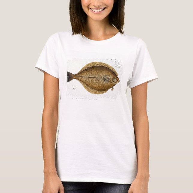 Camiseta Dab (Pleuronectes Limanda) placa XLVI de 'Ichthy (Frente)