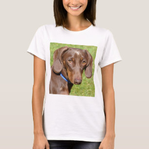 Camiseta Dachshund