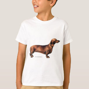 Camiseta Dachshund